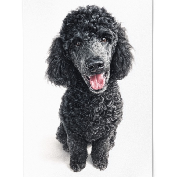 Watercolor Black Poodle Portrait Wall Art Print Poster, Unframed - Pet Artwork - Picture 2 of 6